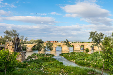 Fototapeta na wymiar Ancient water mill and Roman Bridge - Cordoba