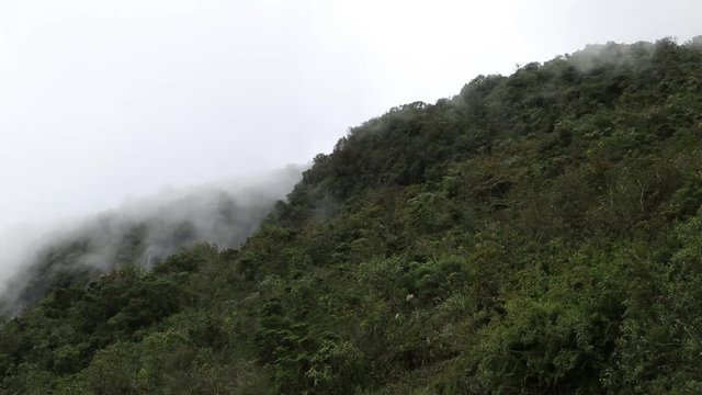 Nebel zieht auf im Yanacocha Reservat: Pichincha, Quito, Ecuador