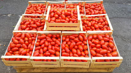 Fresh Tomatoes in crate at the shop / Fresh ripe red tomatoes are in the wood boxes / tomatoes in wooden basket / Boxes of bright red tomatoes ready for sale at a farmers market .