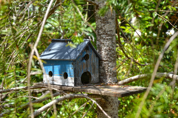 Casetta degli uccelli