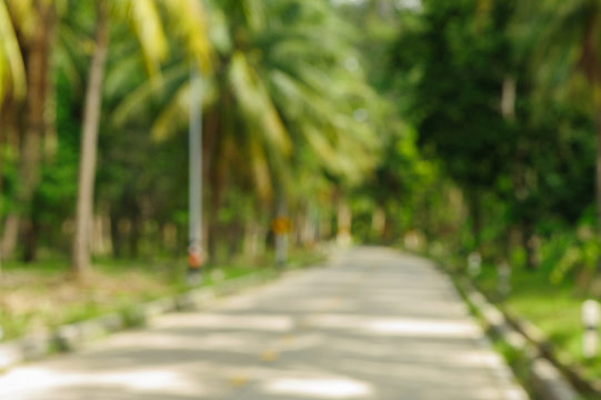 The road and coconut palm trees blurry photo background. Tropical scene defocused picture. Abstract exotic island travel blurry landscape. 