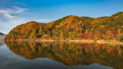 河口湖の紅葉2016