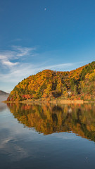 河口湖の紅葉2016