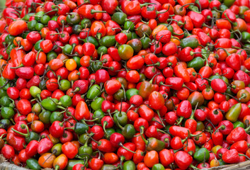 fresh red and green chili selling at the street shop