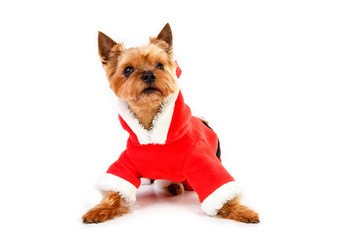 санта клаус