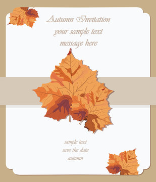 Autumn maple leaves card. Vector Invitation