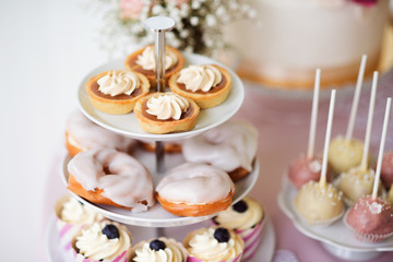 Obraz na płótnie Canvas Tarts, cream puffs, cupcakes on cakestand. Cake pops.