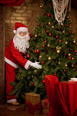 FUnny Santa near CHristmas tree