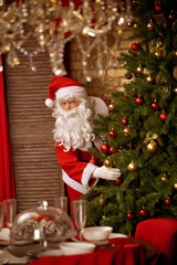 FUnny Santa near CHristmas tree