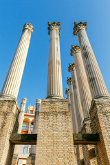 Cordoba. The old Roman columns.