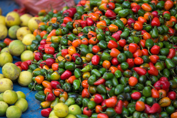 fresh red and green chili selling at the street shop