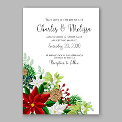 Poinsettia Wedding Invitation sample card beautiful winter floral ornament Christmas party invitation with poinsettia, fir, pine branches, red holly berries, mistletoe
