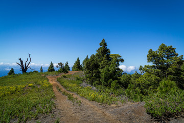 über den Wolken auf La Palma  © Dominic Beuvers