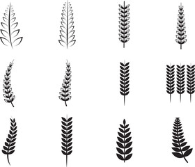 Various ferns icons © vectorfusionart