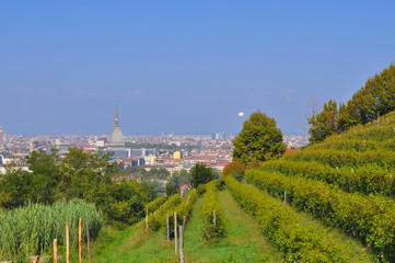 View of the city of Turin