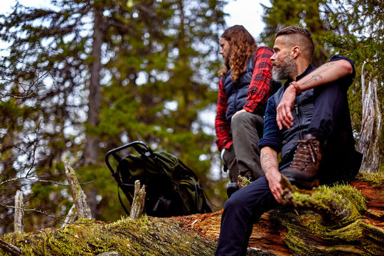 Hikers resting on fallen tree, Sarkitunturi, Lapland, Finland