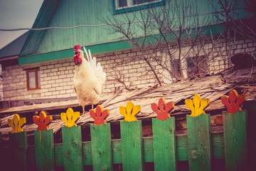 White Rooster on Roof