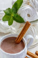 Cocoa with cinnamon and marshmallow.