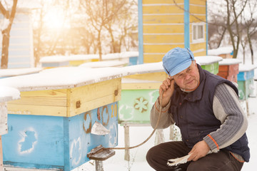 Beekeeper winter monitors the status of bees in the hive