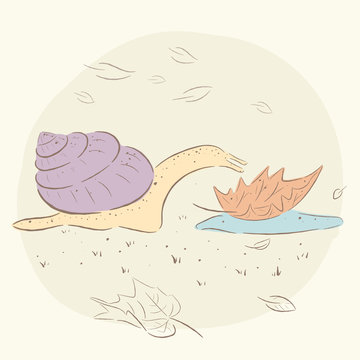 Cute snail and leaf in puddle. snail , autumn. baby illustration. Shirt design