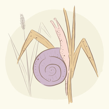 Snail crawling on the grass up. Cute snail , autumn. baby illustration. Shirt design