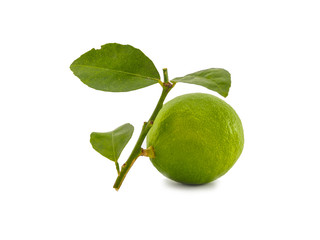 Single lime with branch, leaf of fresh on white background