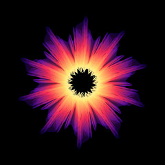 3d abstract mandala. Flower mesh illustration. Eps10 vector.