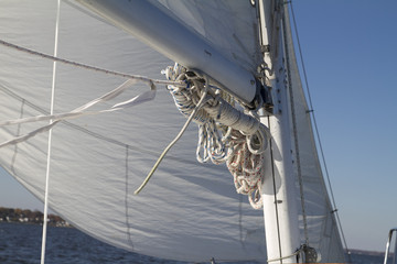 Sailing_6