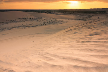 sand dune vietnam