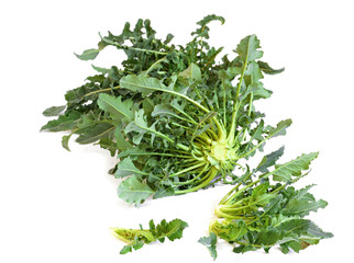 broccolo fiolaro - tipico veneto