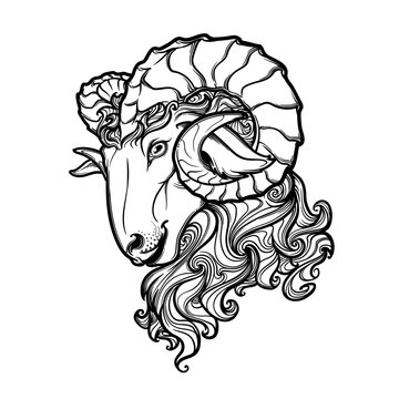 Side view of a ram head with big twisted horns. Intricate hand drawing. Tattoo design. Black and white sketch isolated on white background. EPS10 vector illustration.