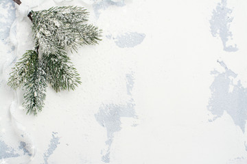 Christmas background with fir tree branch