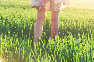 girls legs walking in field in morning sun light