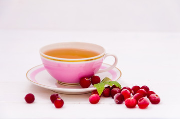 Pink cup of tea and cranberries on white background