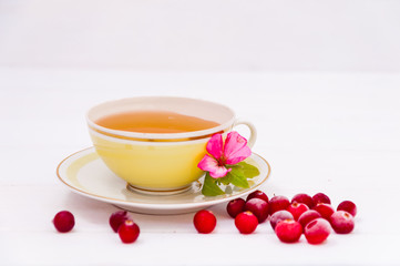 Yellow cup of tea and cranberries on white background