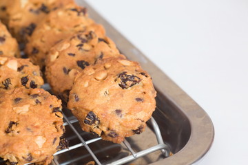 Chocolate chip cookies on a tray rack,Fresh baked cookies,Cookies close up shot.
