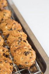 Chocolate chip cookies on a tray rack,Fresh baked cookies,Cookies close up shot.