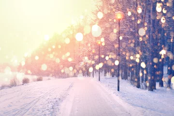 Fototapete Winter Farbschneeflocken auf Winterparkhintergrund. Schneefall im Park.