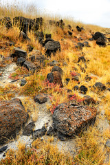 Australia Landscape : Volcanic rocks at salt lake in Colac, Victoria