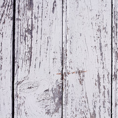 Obraz premium texture