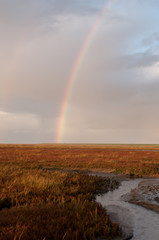 Fototapeta na wymiar Rainbow over Westerhever Field