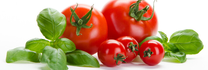 frische tomaten mit frischem basilikum - obrazy, fototapety, plakaty