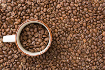 Cofee beans in cup on coffee beans background