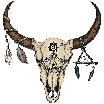 skull of bison / buffalo skull print