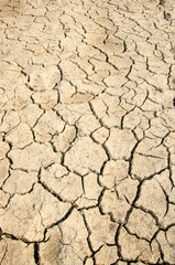 Cracked clay ground.