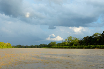 Kinabatangan river, Malaysia, rainforest of Borneo island
