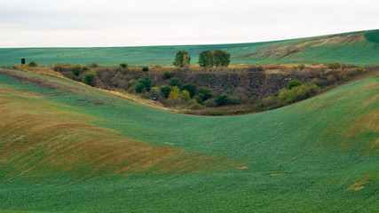Fototapeta na wymiar Incredible patterns on waved fields of South Moravia called the Moravian Tuscany, green and brown autumn colors. Czechia.
