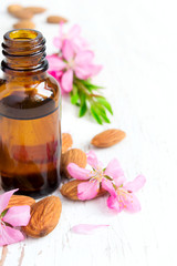 Essential almond oil, flowers and nuts on a white background