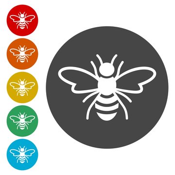 Bee Logo Sign Icon 