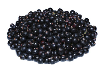 Many ripe black currant berries isolated